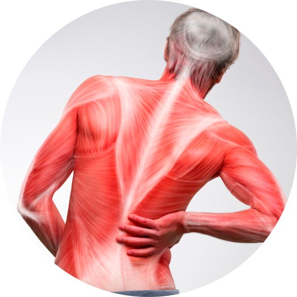 Le dos est une cause fréquente de douleurs musculaires et articulaires chez la plupart des gens.